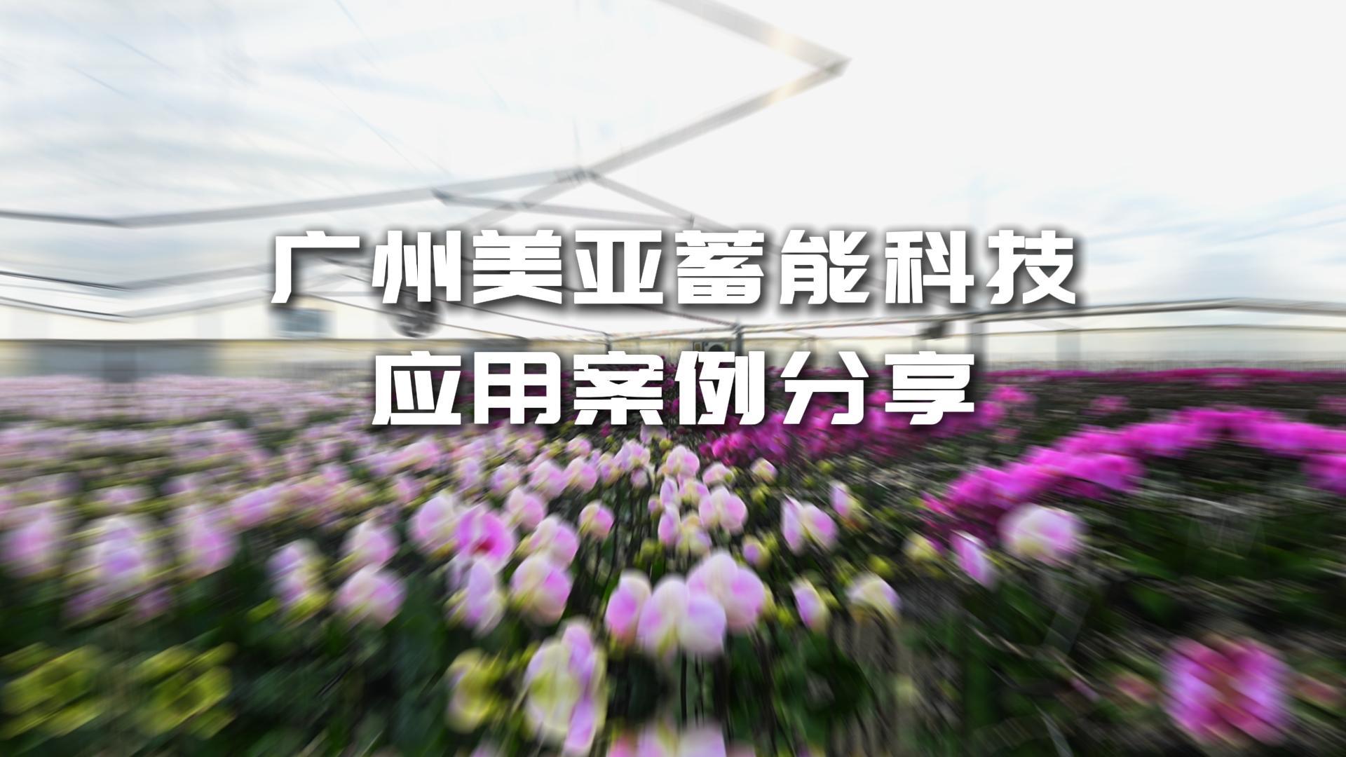 首页- am8亚美集团旗舰厅官网